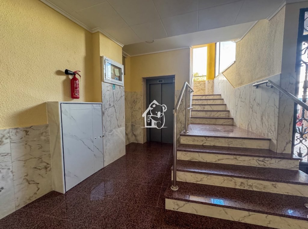 Alquiler - Apartamento / piso - Orihuela Costa - Cabo roig - La Zenia