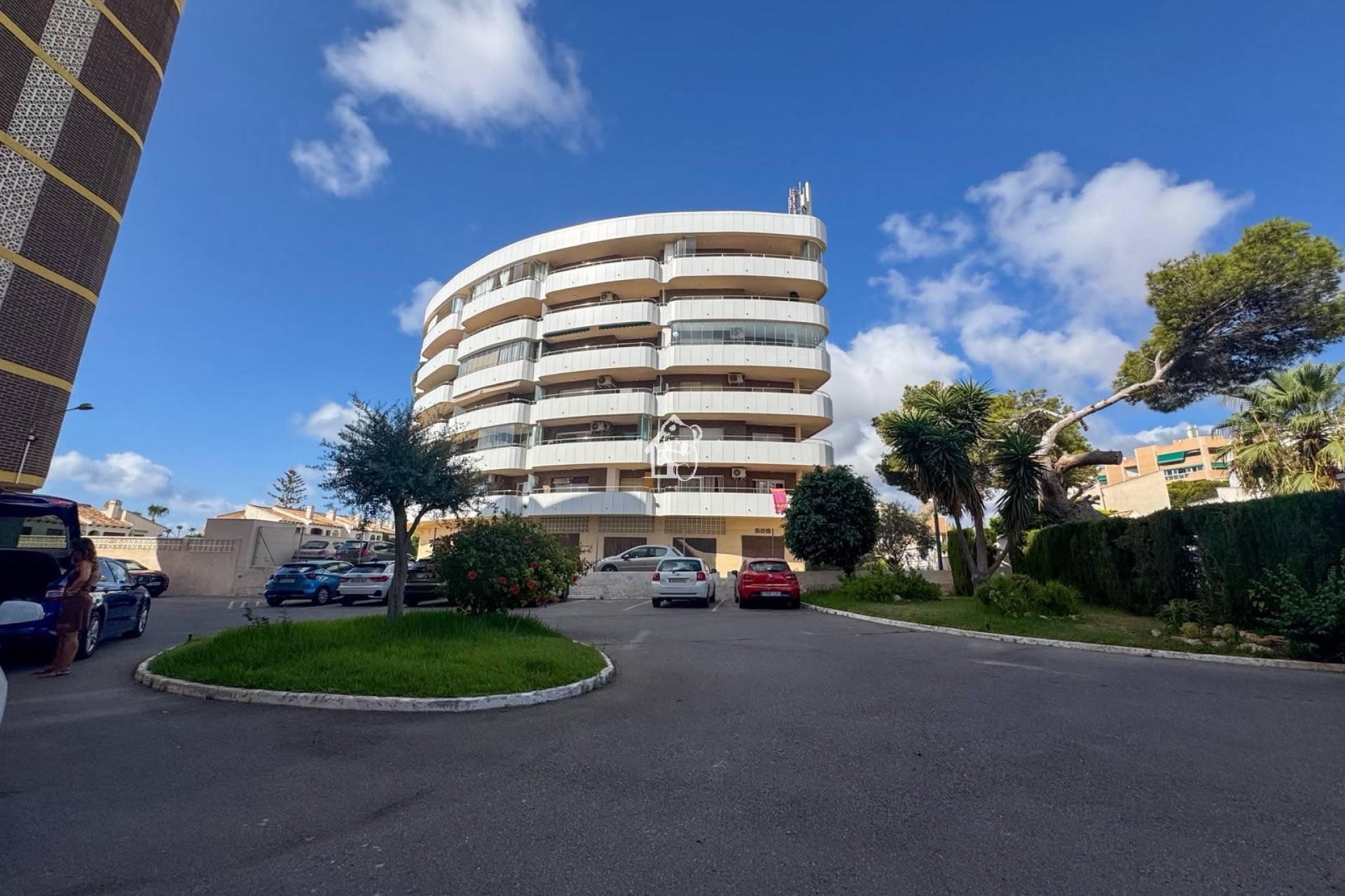 Alquiler - Apartamento / piso - Orihuela Costa - Cabo roig - La Zenia