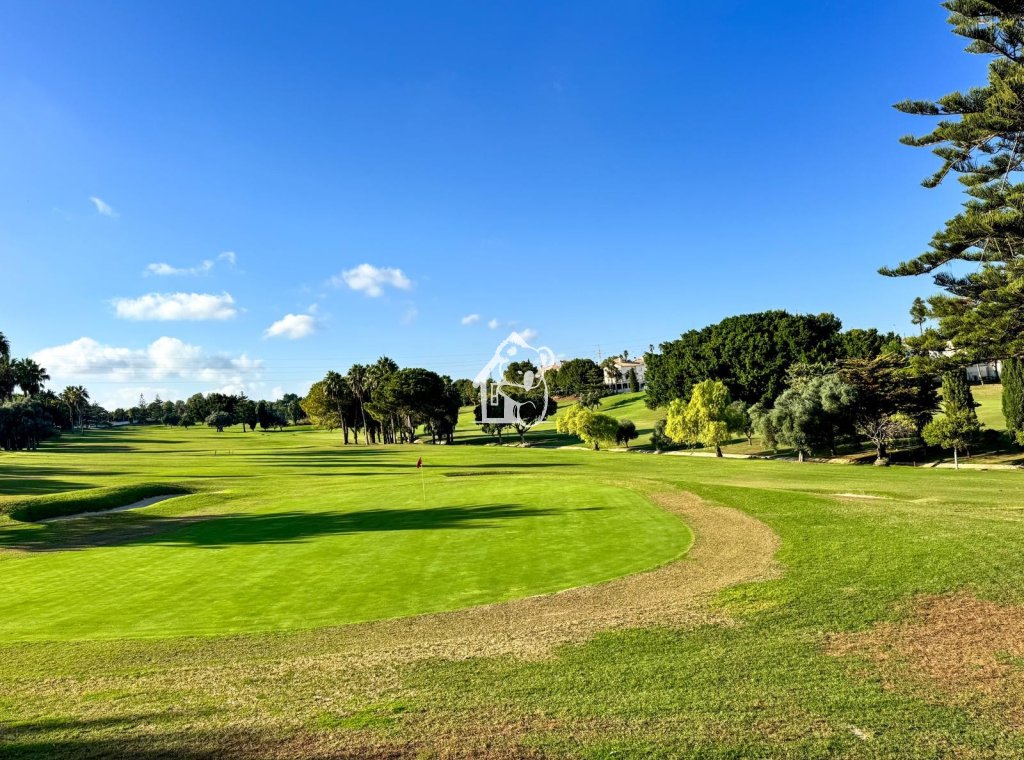 Alquiler - Apartamento / piso - Orihuela Costa - Cabo roig - La Zenia