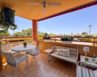 Alquiler - Apartamento / piso - Orihuela Costa - Dehesa de campoamor