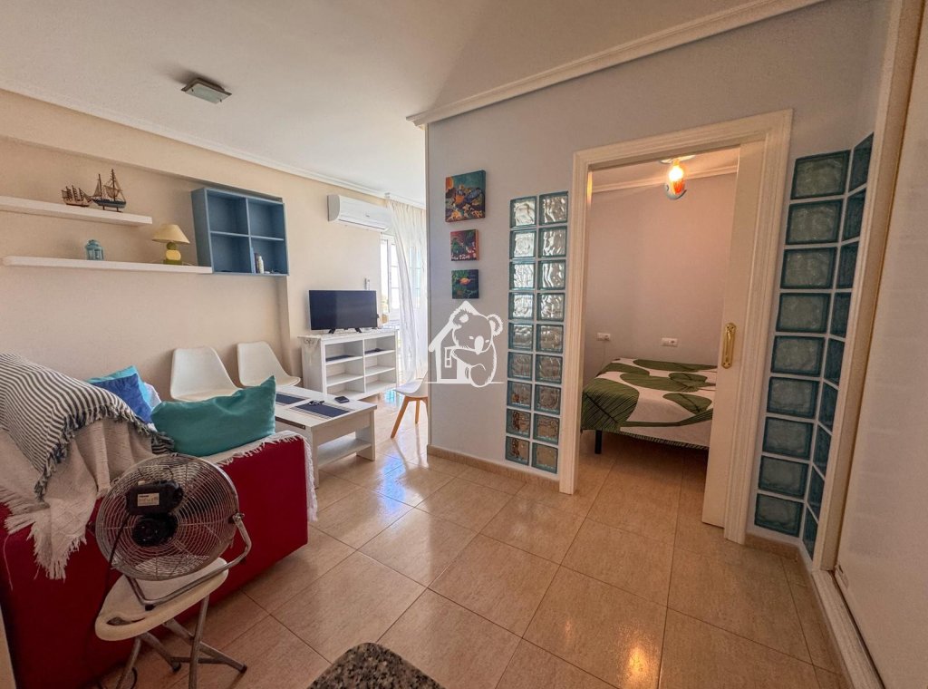 Alquiler - Apartamento / piso - Orihuela Costa - Dehesa de campoamor