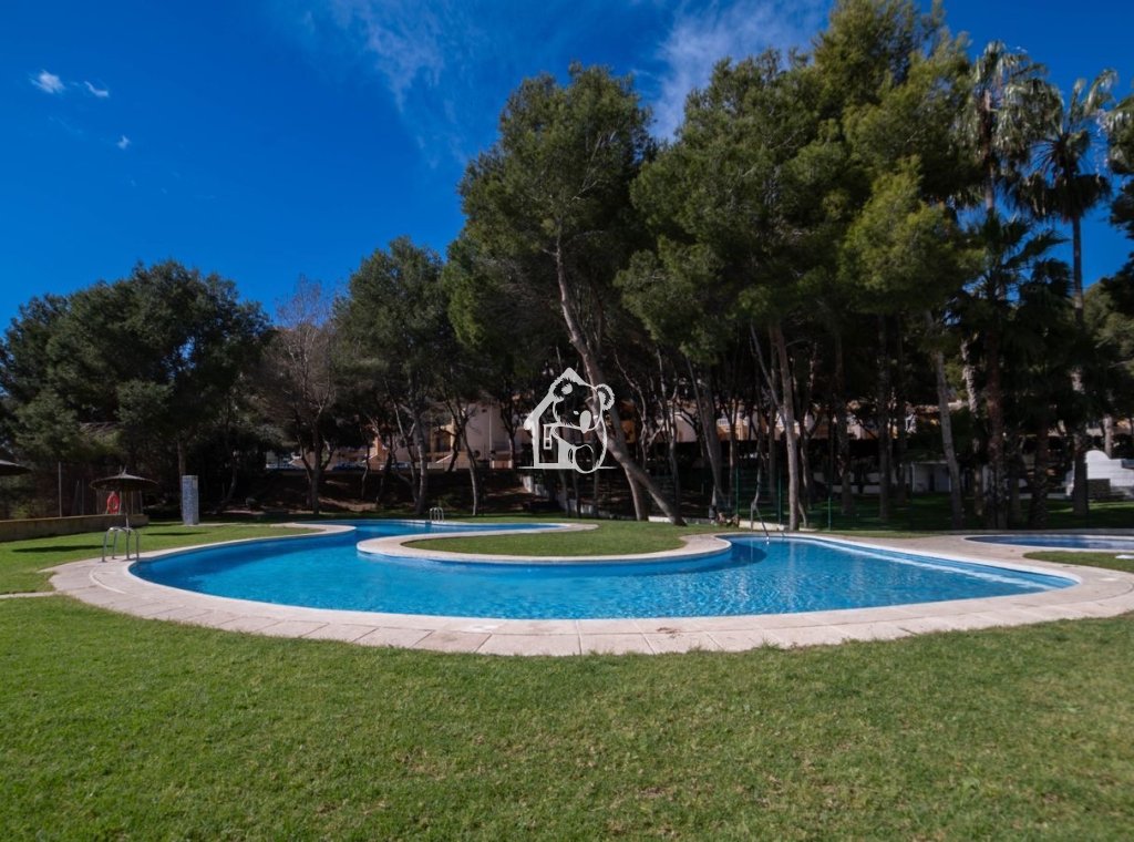 Alquiler - Apartamento / piso - Orihuela Costa - Dehesa de campoamor