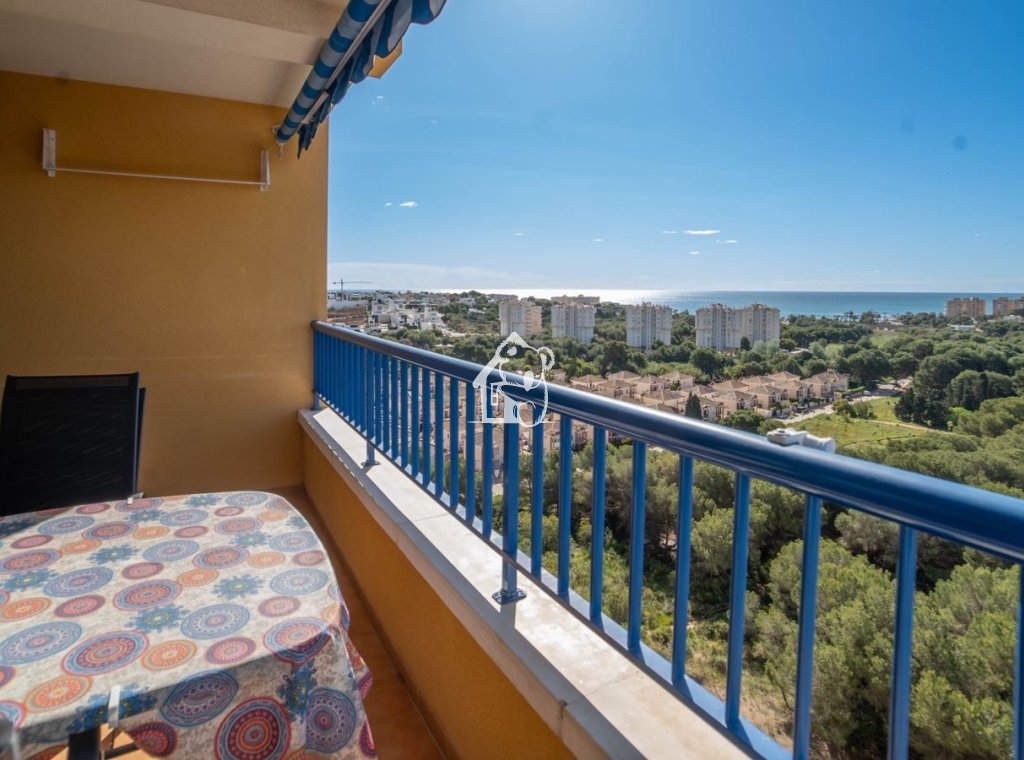 Alquiler - Apartamento / piso - Orihuela Costa - Dehesa de campoamor