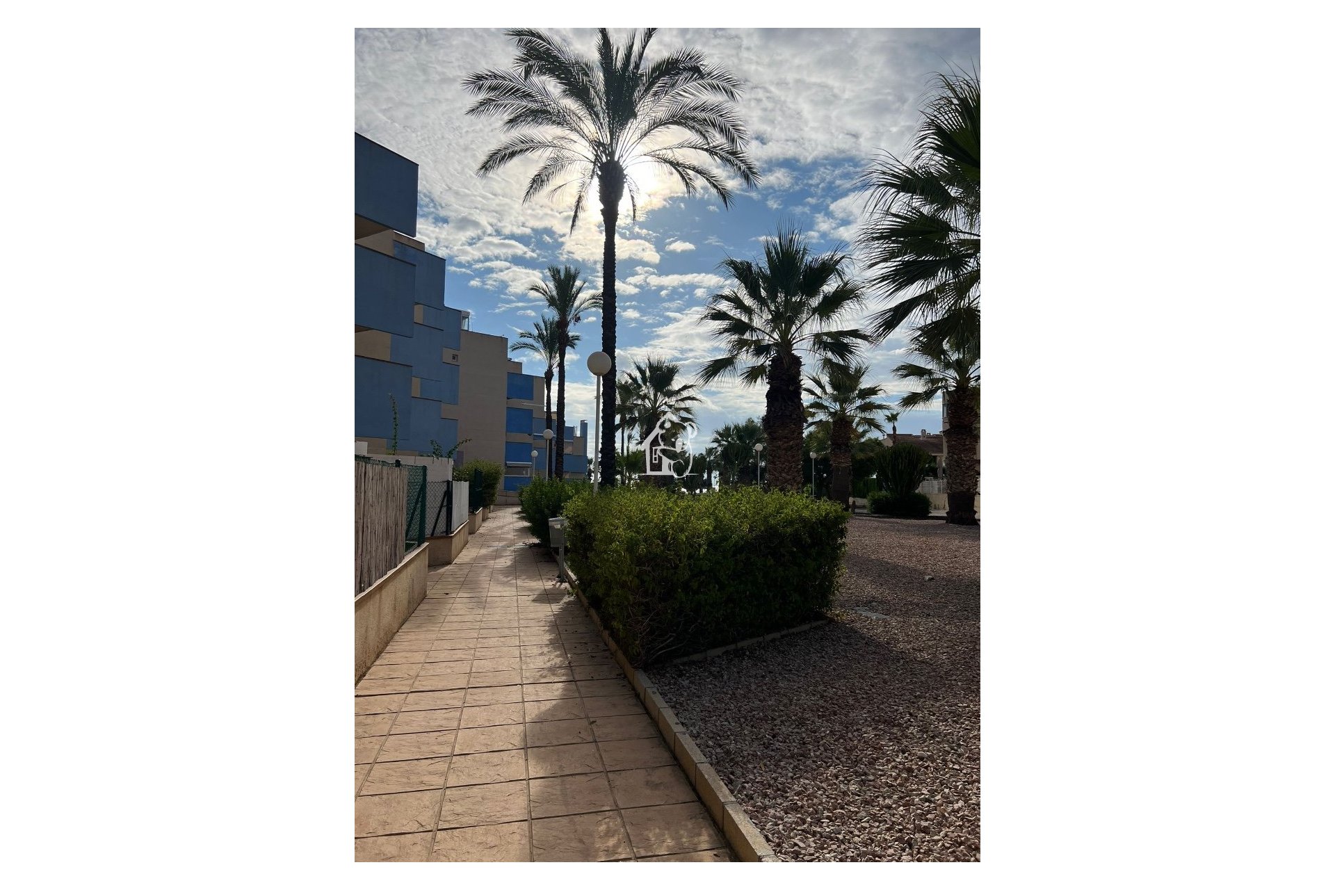 Alquiler - Apartamento / piso - Orihuela Costa - Dehesa de campoamor