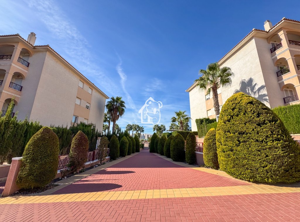 Alquiler - Apartamento / piso - Orihuela Costa - Playa Flamenca