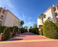 Alquiler - Apartamento / piso - Orihuela Costa - Playa Flamenca