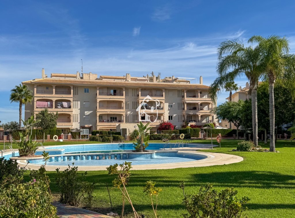 Alquiler - Apartamento / piso - Orihuela Costa - Playa Flamenca