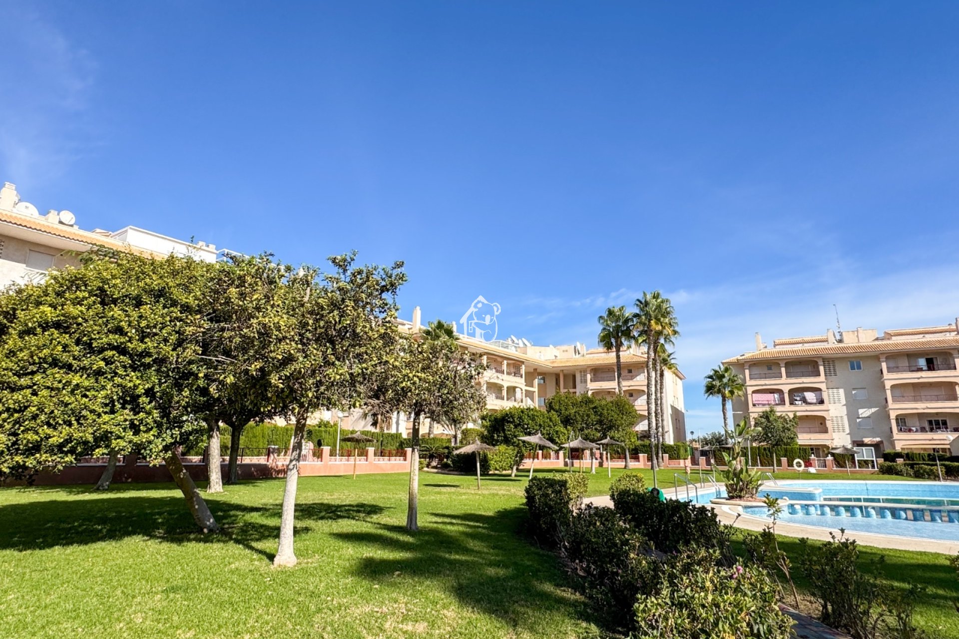 Alquiler - Apartamento / piso - Orihuela Costa - Playa Flamenca