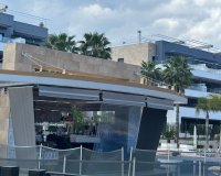 Alquiler - Apartamento / piso - Orihuela Costa - Playa Flamenca