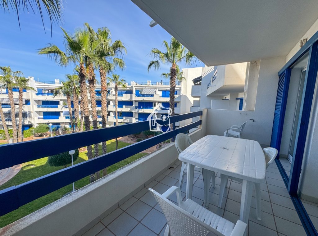 Alquiler - Apartamento / piso - Orihuela Costa - Playa Flamenca