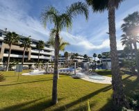 Alquiler - Apartamento / piso - Orihuela Costa - Playa Flamenca