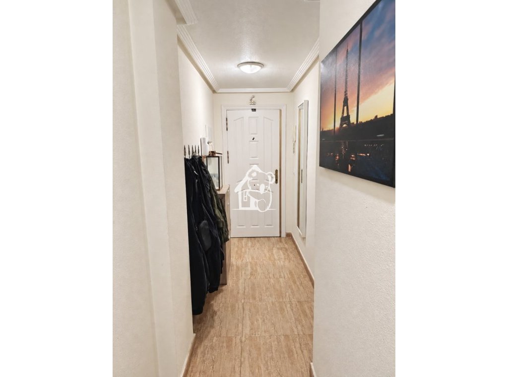 Alquiler - Apartamento / piso - Orihuela Costa - Playa Flamenca