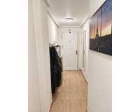 Alquiler - Apartamento / piso - Orihuela Costa - Playa Flamenca