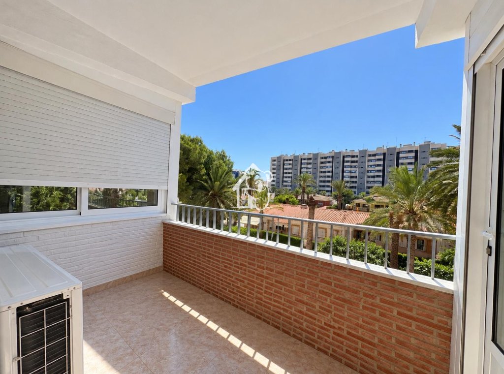 Alquiler - Apartamento / piso - Orihuela Costa - Punta Prima