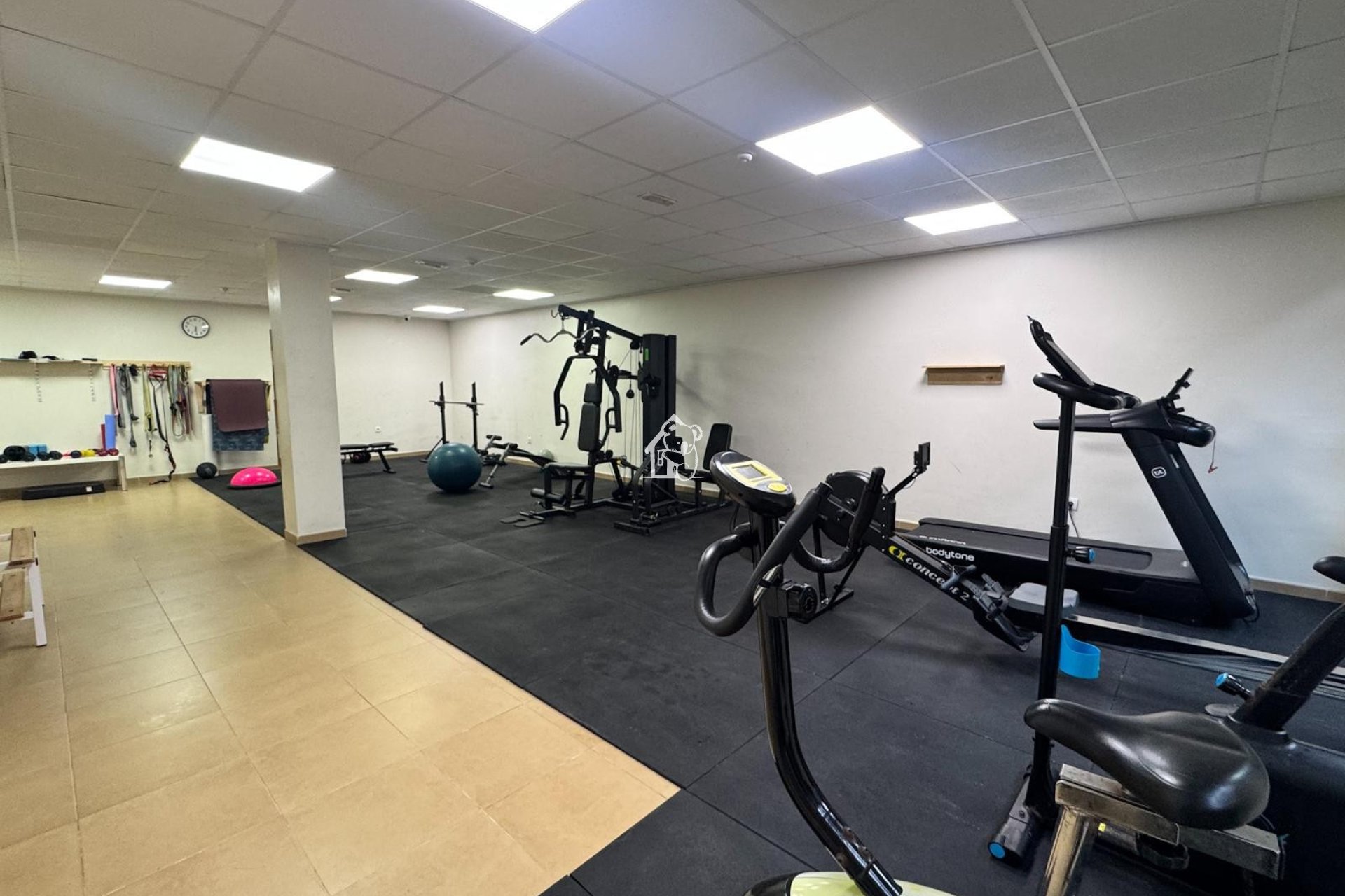Alquiler - Apartamento / piso - Orihuela Costa - Punta Prima