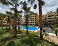 Alquiler - Apartamento / piso - Orihuela Costa - Punta Prima