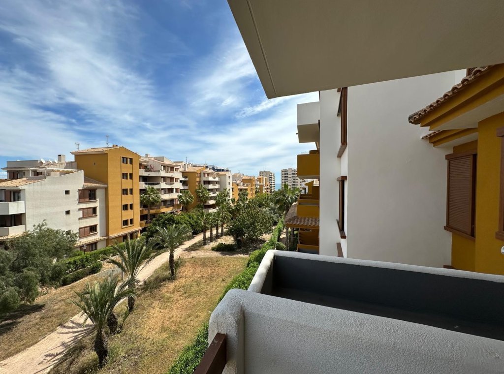 Alquiler - Apartamento / piso - Orihuela Costa - Punta Prima