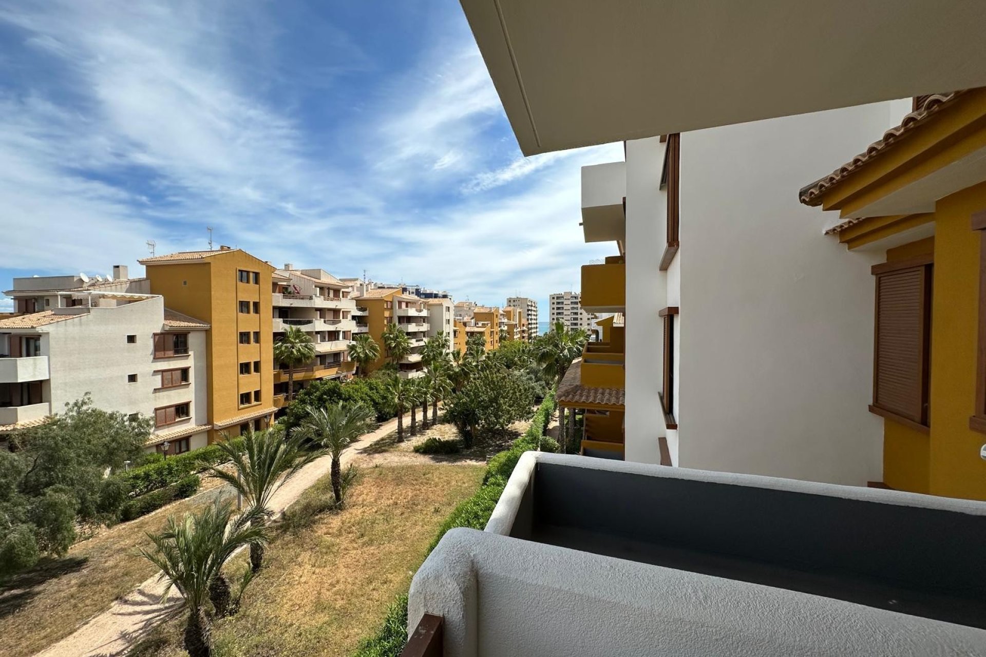 Alquiler - Apartamento / piso - Orihuela Costa - Punta Prima