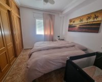 Alquiler - Apartamento / piso - Orihuela Costa - Punta Prima