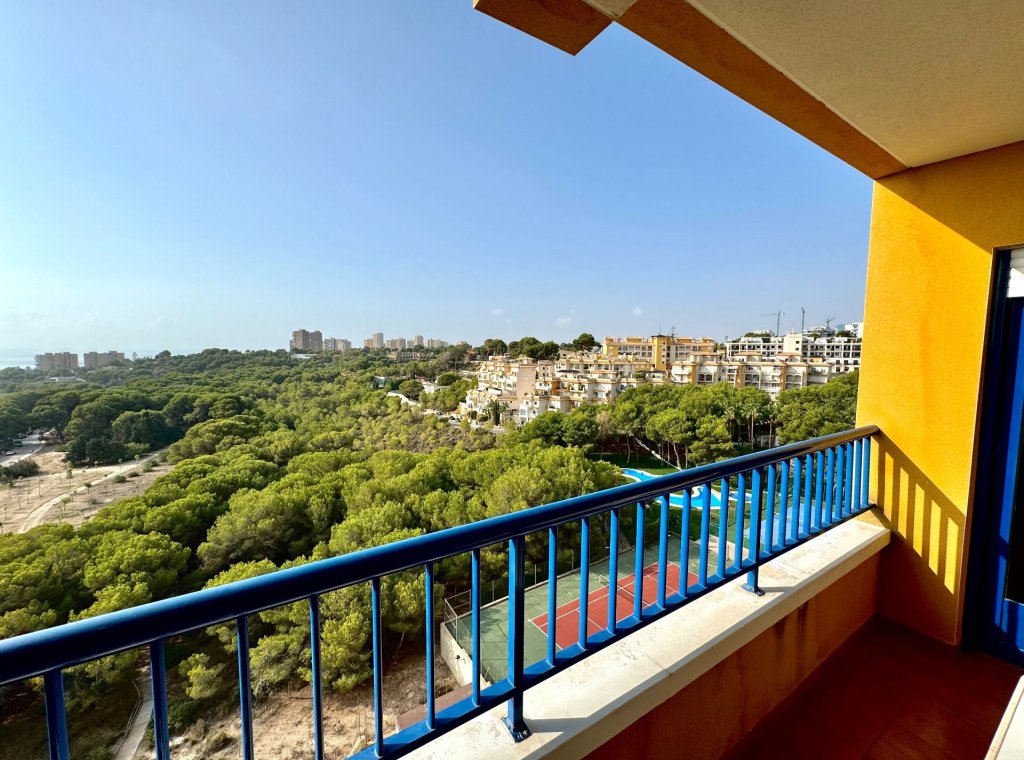 Alquiler - Apartamento / piso - Orihuela Costa