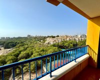 Alquiler - Apartamento / piso - Orihuela Costa