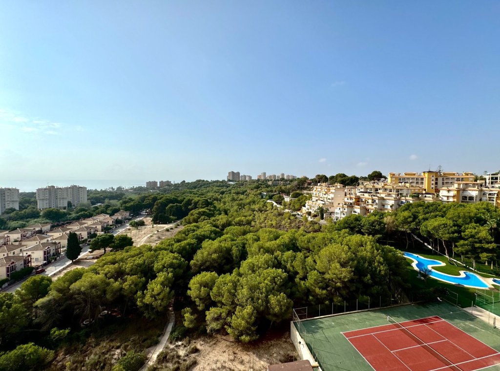 Alquiler - Apartamento / piso - Orihuela Costa