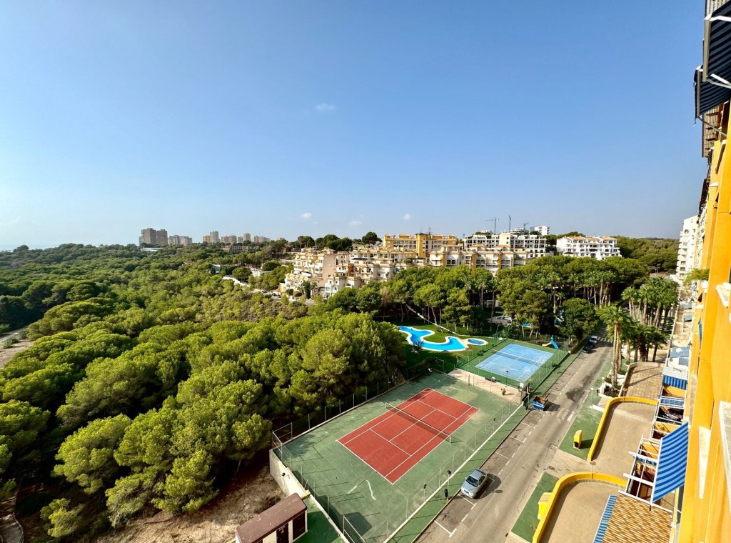 Alquiler - Apartamento / piso - Orihuela Costa
