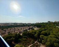Alquiler - Apartamento / piso - Orihuela Costa