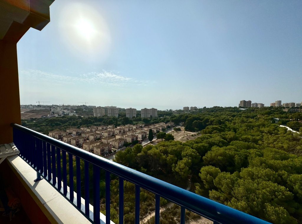 Alquiler - Apartamento / piso - Orihuela Costa