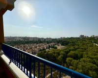 Alquiler - Apartamento / piso - Orihuela Costa