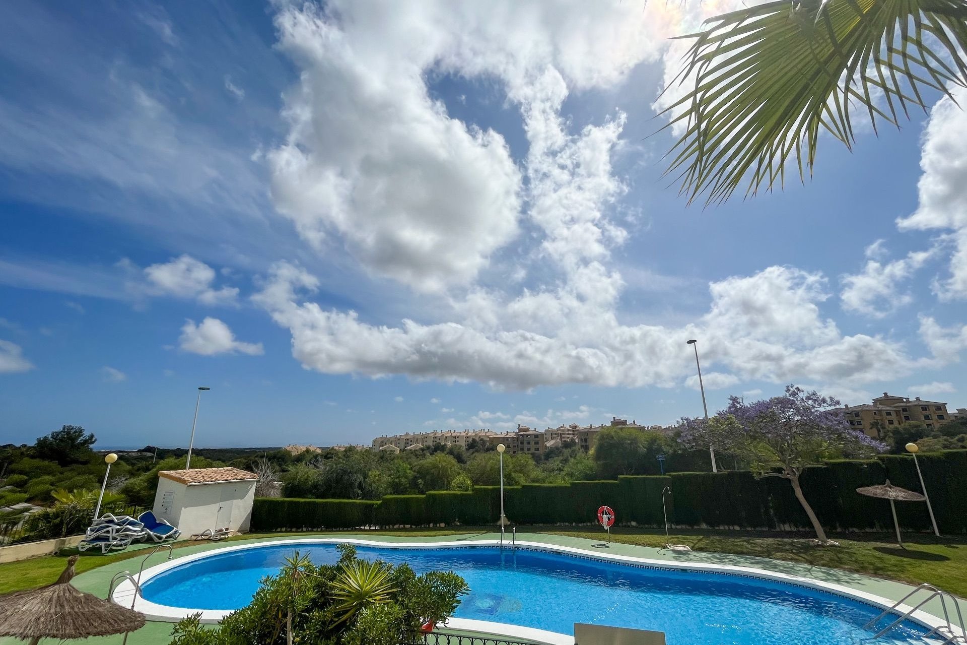 Alquiler - Apartamento / piso - Orihuela