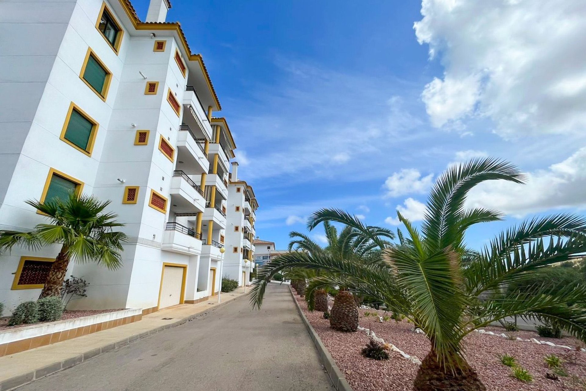 Alquiler - Apartamento / piso - Orihuela