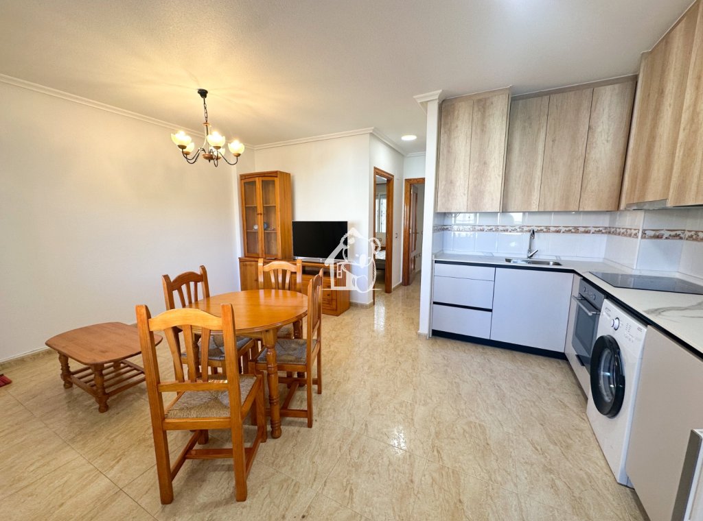 Alquiler - Apartamento / piso - Orihuela