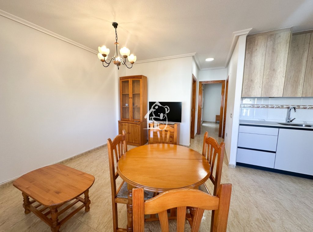 Alquiler - Apartamento / piso - Orihuela