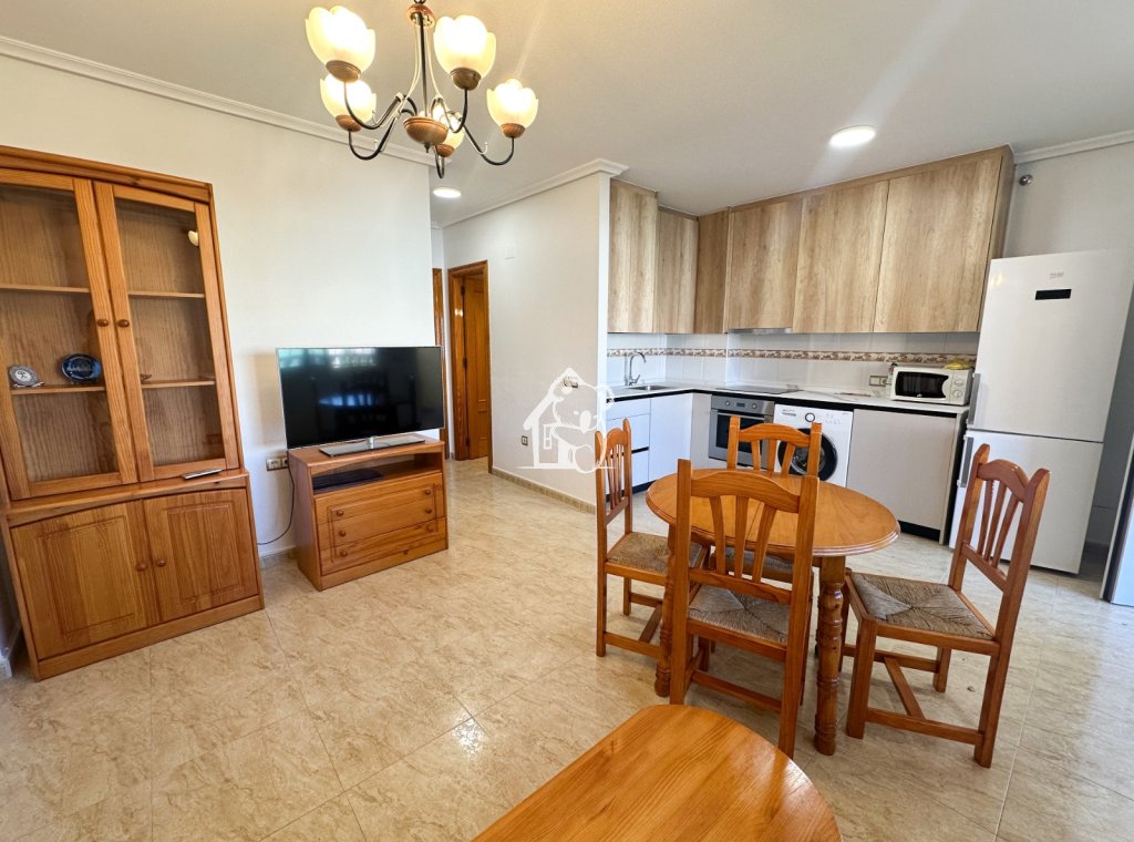Alquiler - Apartamento / piso - Orihuela