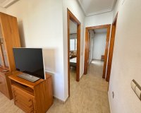 Alquiler - Apartamento / piso - Orihuela