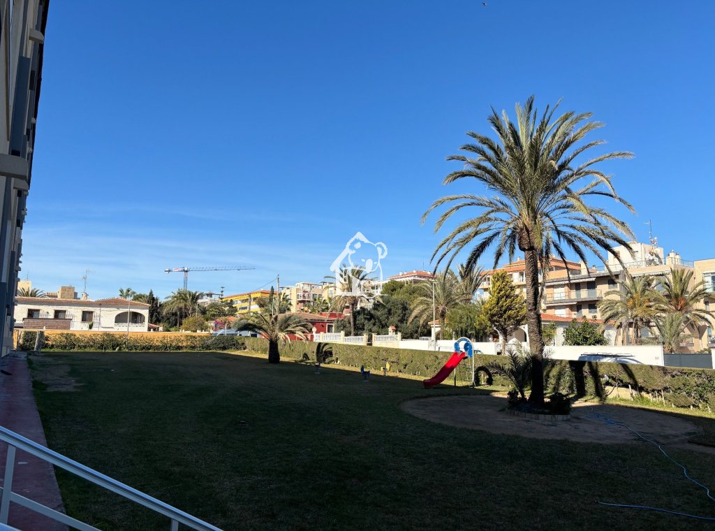 Alquiler - Apartamento / piso - Punta Prima