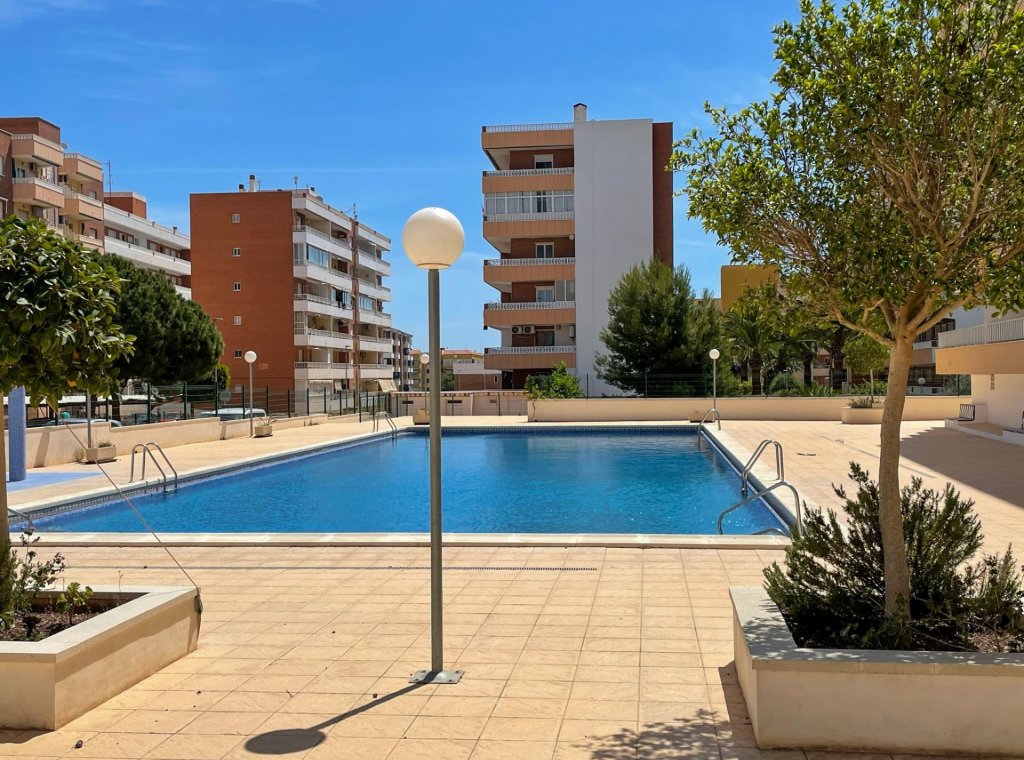 Alquiler - Apartamento / piso - Punta Prima