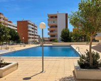 Alquiler - Apartamento / piso - Punta Prima