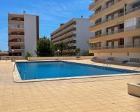 Alquiler - Apartamento / piso - Punta Prima