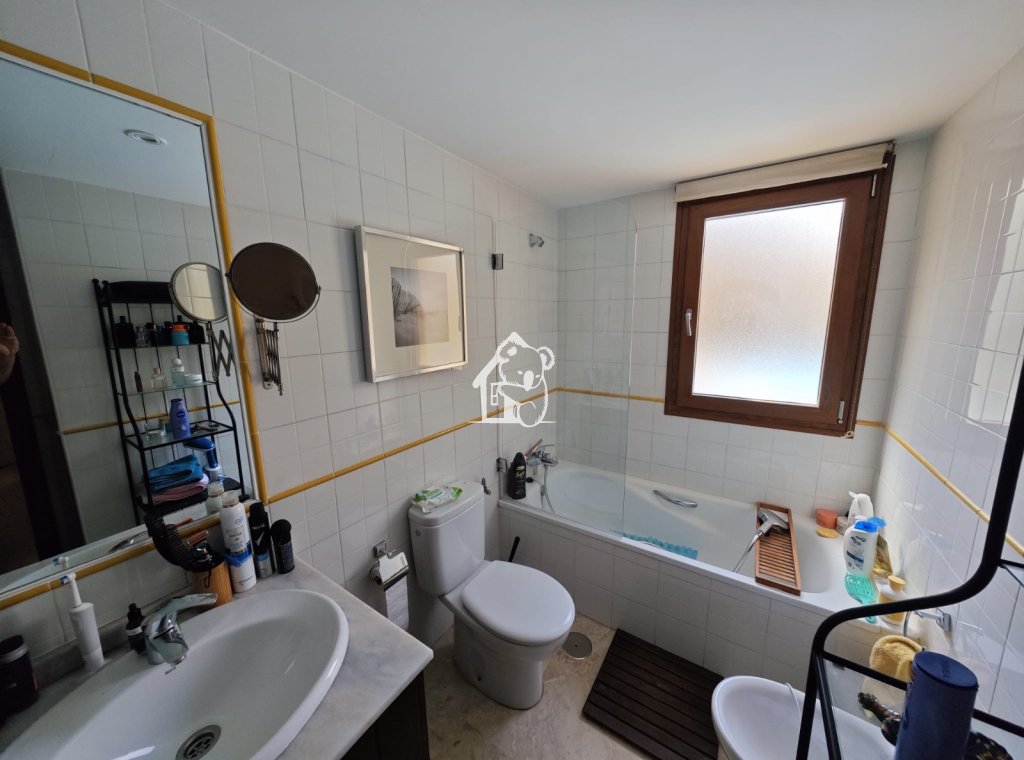 Alquiler - Apartamento / piso - Punta Prima