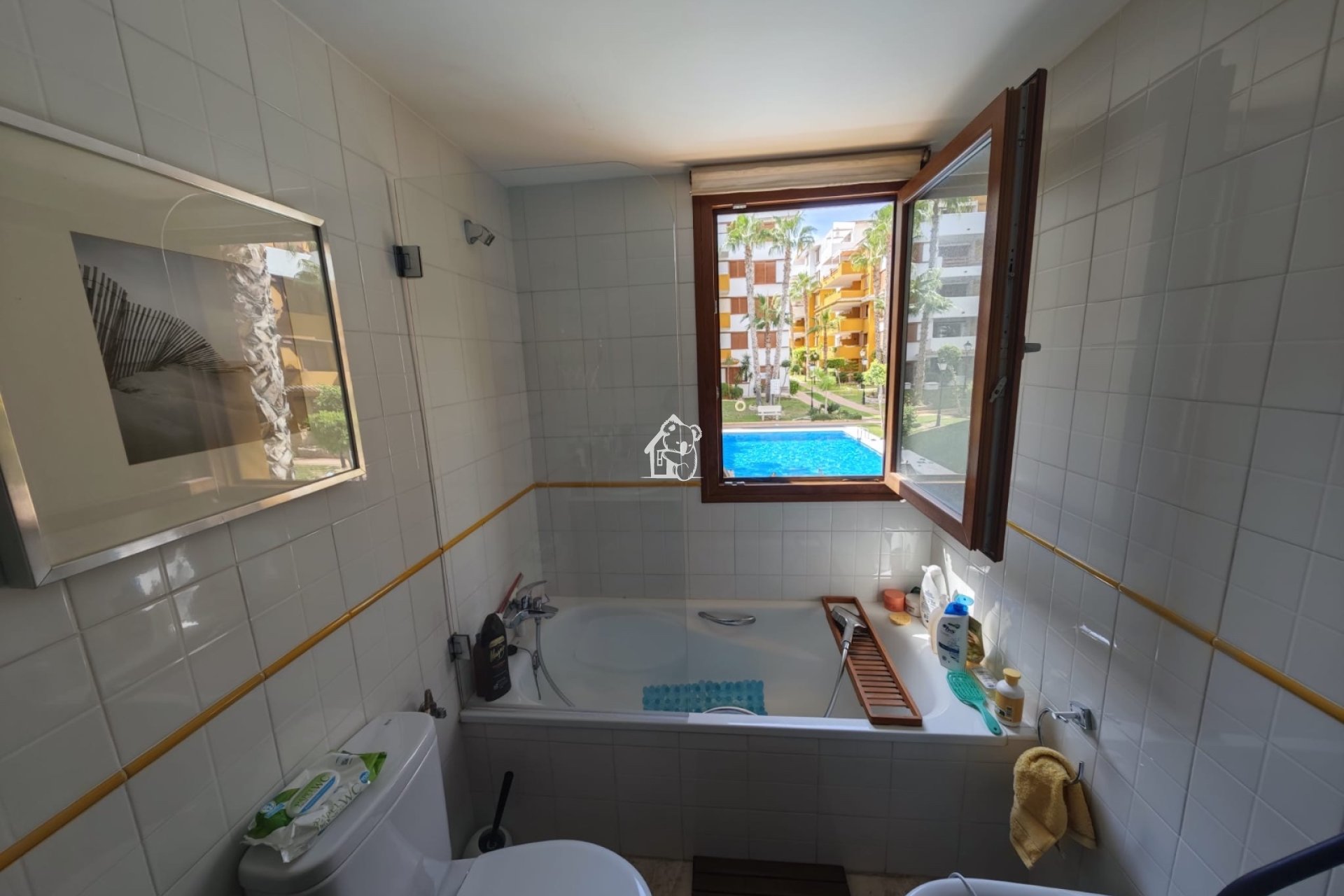 Alquiler - Apartamento / piso - Punta Prima