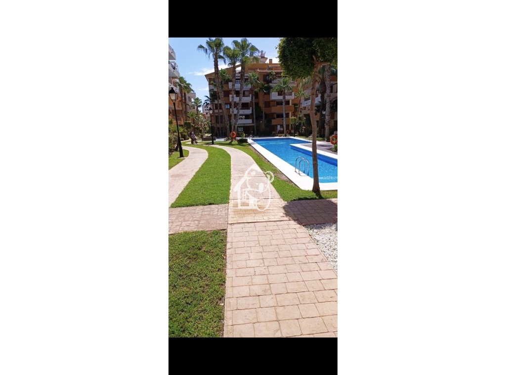 Alquiler - Apartamento / piso - Punta Prima