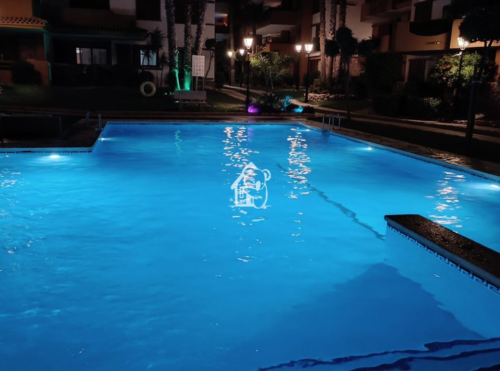 Alquiler - Apartamento / piso - Punta Prima