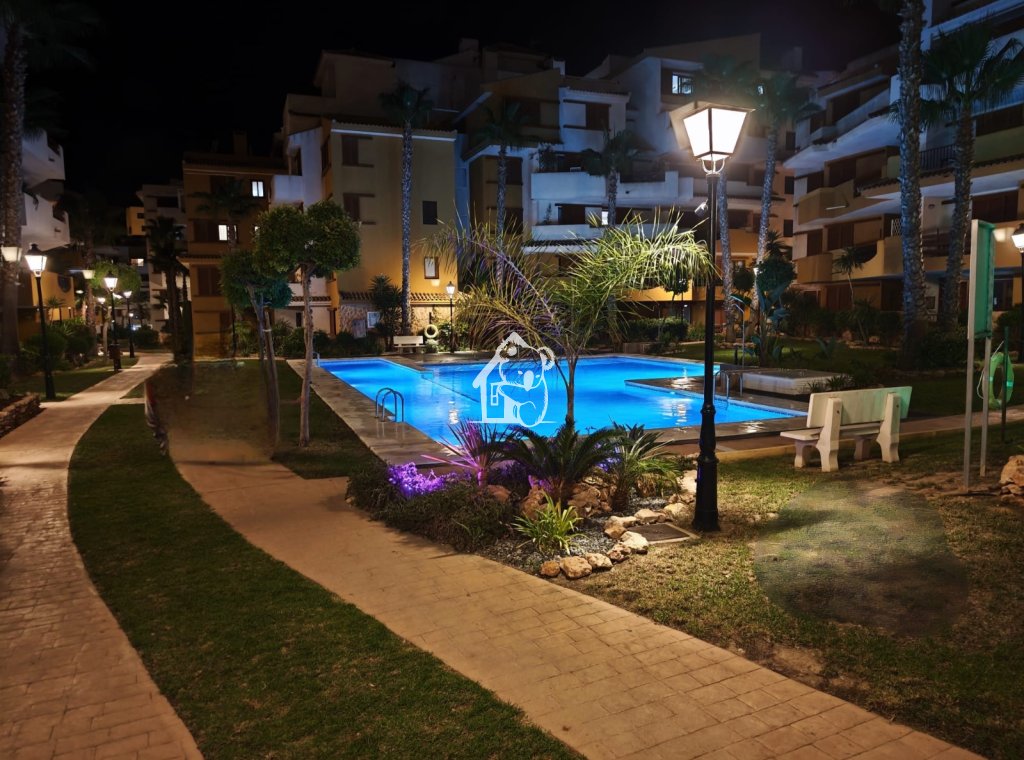 Alquiler - Apartamento / piso - Punta Prima