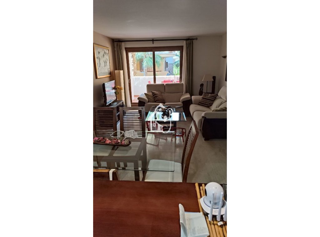 Alquiler - Apartamento / piso - Punta Prima