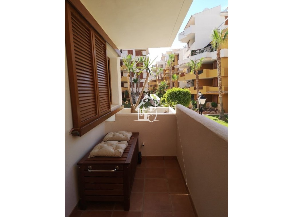 Alquiler - Apartamento / piso - Punta Prima