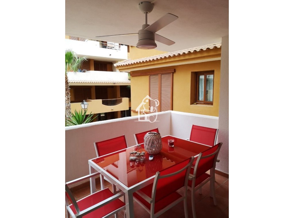 Alquiler - Apartamento / piso - Punta Prima