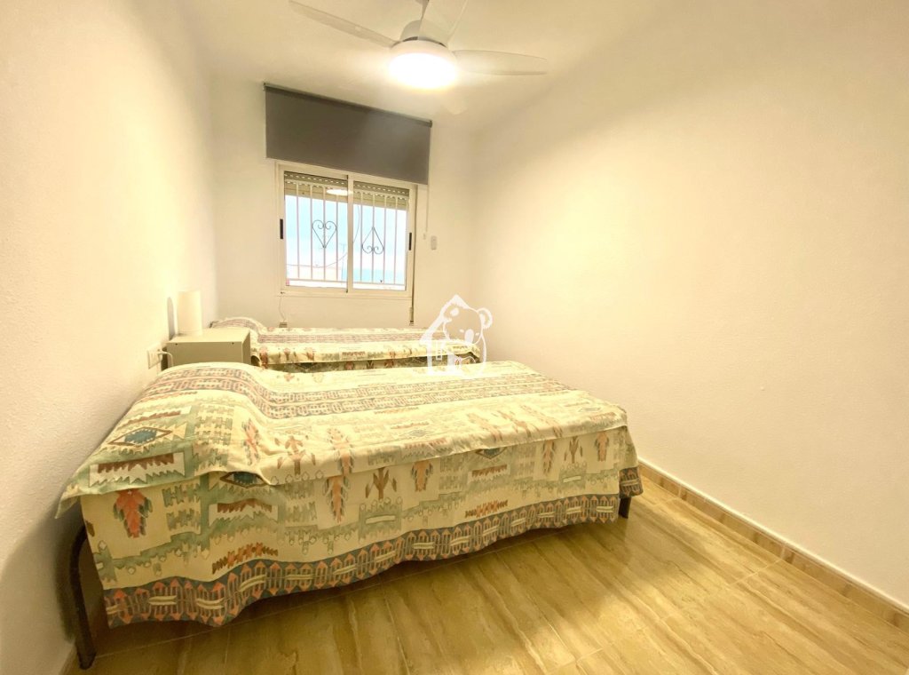 Alquiler - Apartamento / piso - Torrevieja - Centro
