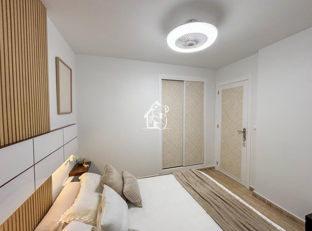 Alquiler - Apartamento / piso - Torrevieja - Centro